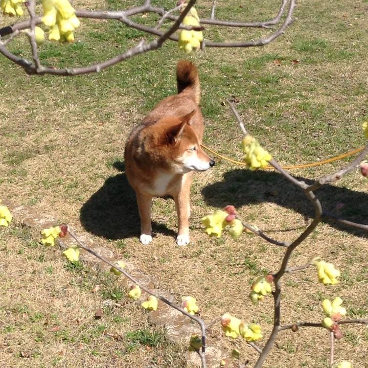 92ad2f0f 41c8 4d5b 8367 fea4a98391b5 1521261285870