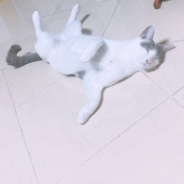 92ad5d55 4ee3 4dc4 9f8c 98e040278de7 1590411427380