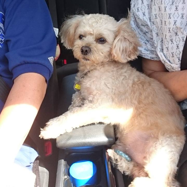 92ad7fc5 c980 4db9 ab37 7401f935abda 1565243153639