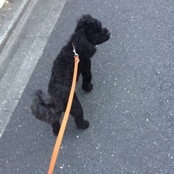 92ade465 f715 41e7 9cdd ca1c2b22441b 1532464561997