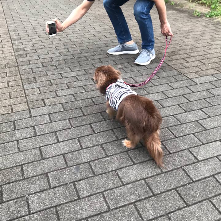 92ae0222 1319 48bf 9bb2 43a71021dffc 1564009399797