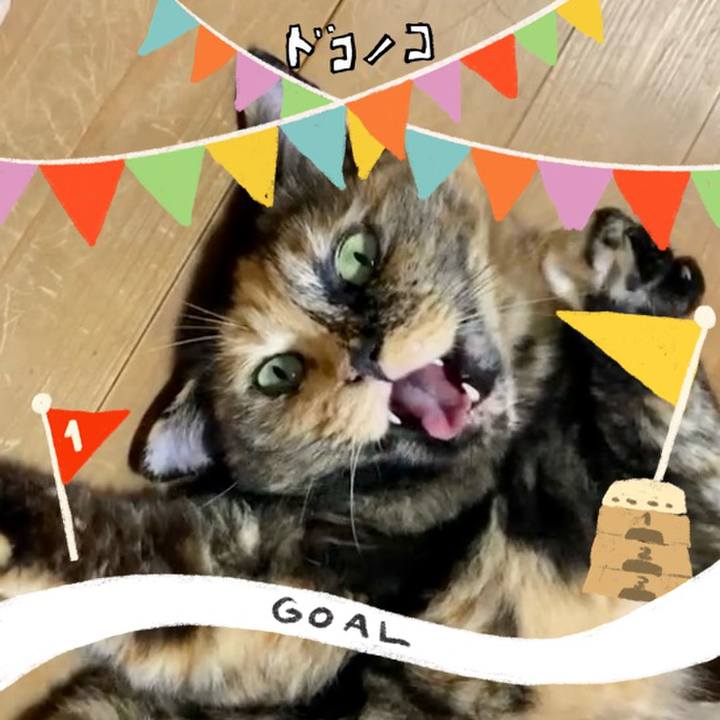 92ae20a1 e81e 48c6 9ea9 898653e5b25f 1729076397847