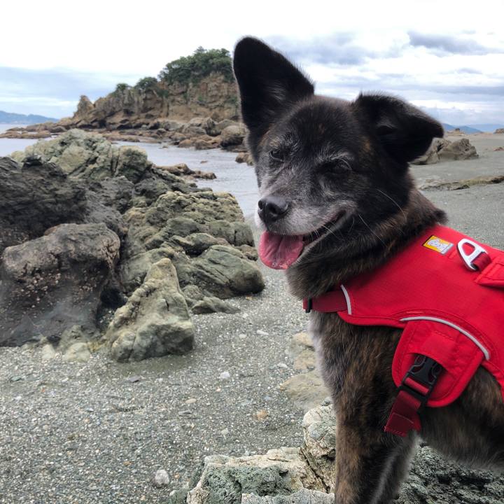 92ae3920 6628 453e a978 bbeb5175c8dd 1629099165655