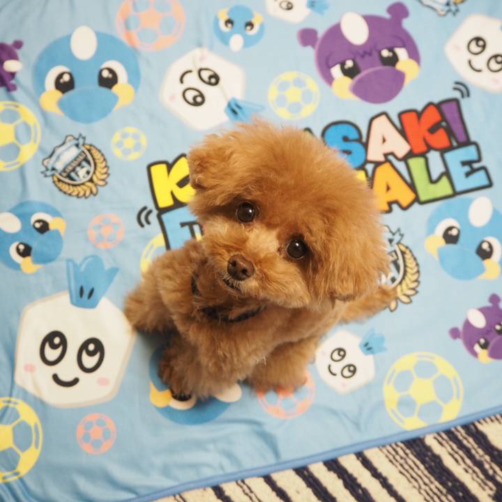 92ae564f 8770 4bd1 b22a 895600681e12 1518560264912