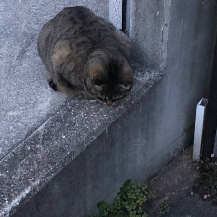 92aec02c dc13 4e0c a062 5abbbd255534 1585224300810