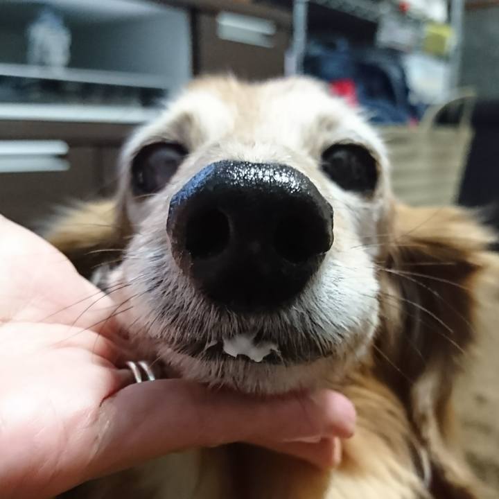 92aec1f6 7d0f 4a4d 9a83 280843e6654b 1515402226391