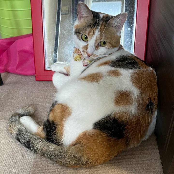 92aefe5d 591f 4a38 bd07 4bea6902ddb6 1630456138899