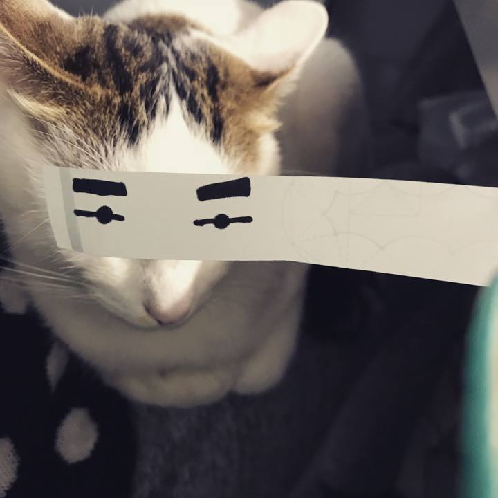 92af1fb0 3068 4f04 b7d4 3eaabd966e28 1511348973605