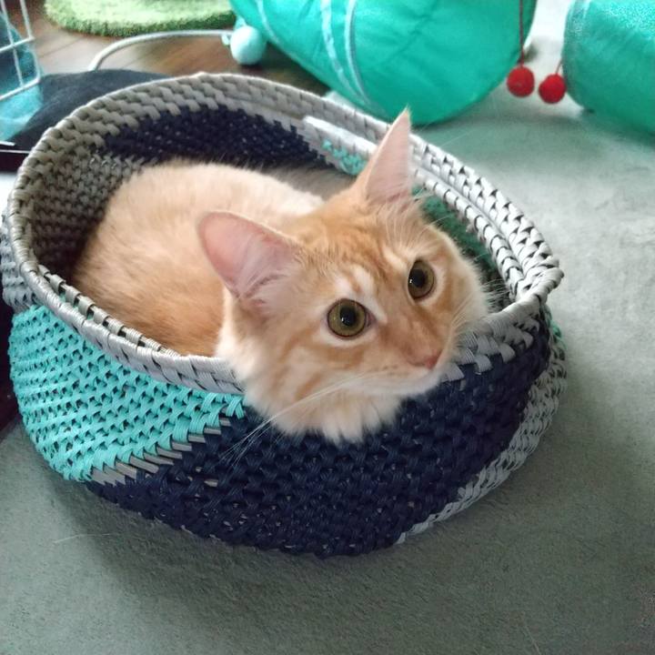 92af3b95 6b76 4312 9b95 588280c77485 1630830759418