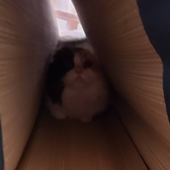 92af3fad 8fe4 4011 aa4e cb2cbc70d478 1656883312651