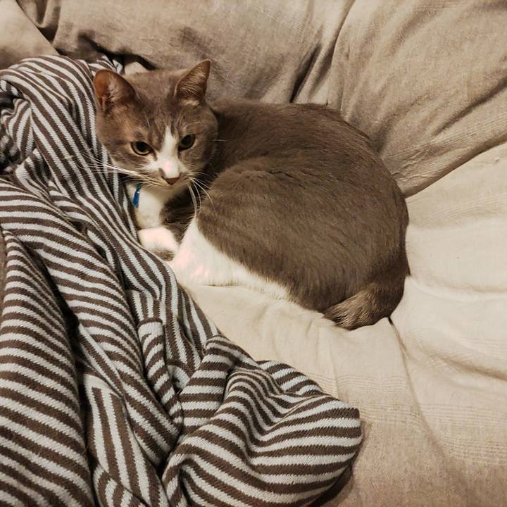 92af4ecd 3b57 4cb8 be83 747d7897ee2c 1703477411576