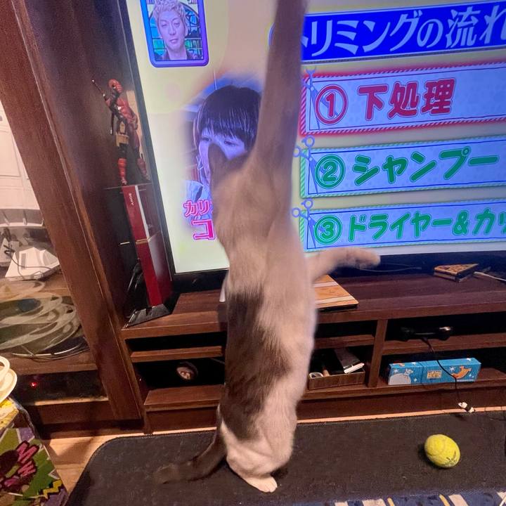 92af5daf 1e7c 40db a144 d5e34ab0a81b 1651402410700