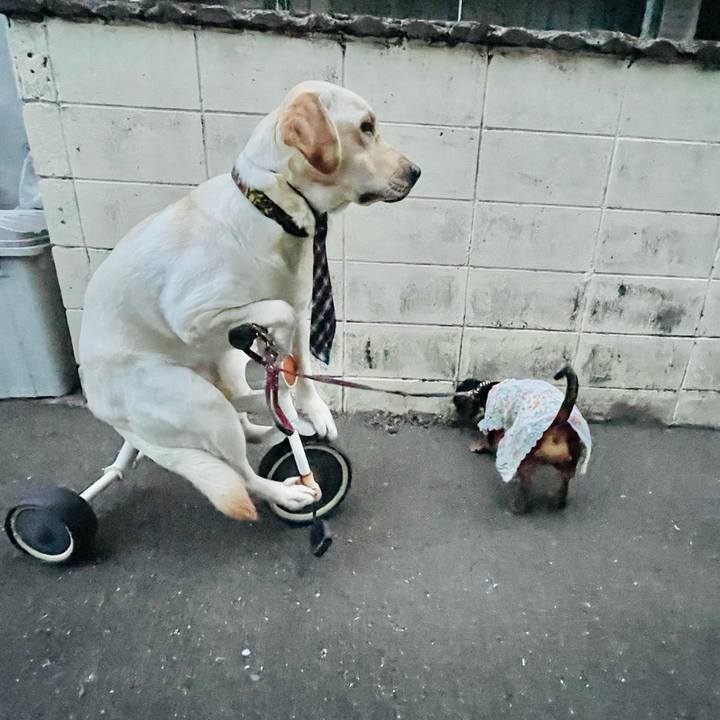 92af6869 a763 4030 85d4 ddf29b324b11 1654934436009