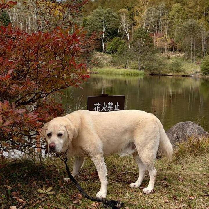 92af8651 203f 4235 aaa9 15b7b9f60a93 1729146567088