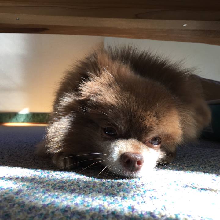 92af913d e893 44a5 8b7c 1caabdec2738 1527773650038