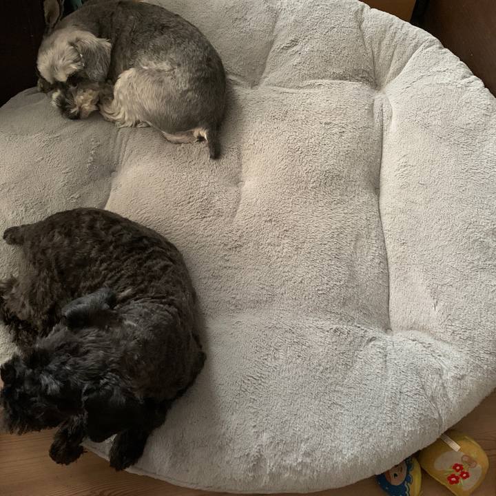 92afbb43 01d8 47da abf2 91457c65a93f 1682988616293