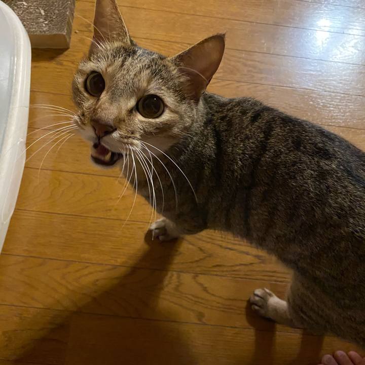 92afbd18 e87e 4e8d b0ad 344d577a9d5f 1602777170143