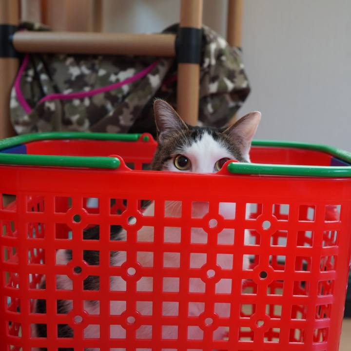 92afe959 c0f0 4127 9a55 63cf08ae96f5 1587961567508