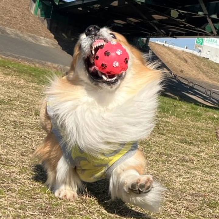 92b04028 1fd4 4233 9fcd 8dfd09c59c72 1767918558800