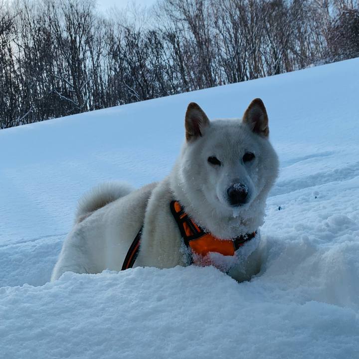 92b06bd1 0714 450b 88c6 967a1c379f73 1675723144931