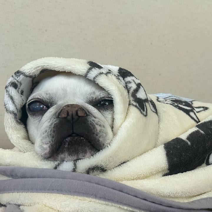 92b07ca9 c24b 46ae 8045 fe26df527551 1767153001777