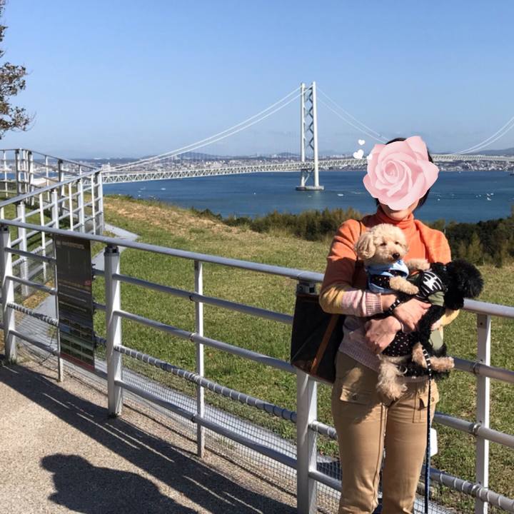 92b0ce94 275b 4d82 bf75 c0dde0f6de89 1540083377622