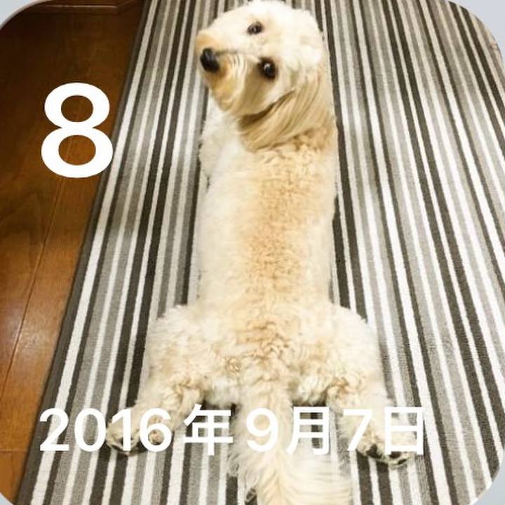 92b0d4eb c47d 41c6 8e9d e9bc79a8cc9c 1788841008343