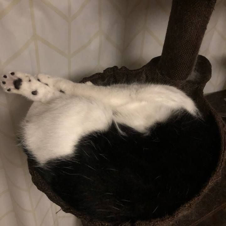 92b12229 2c6d 4f44 ab0d a0bf9f70444b 1570833811021