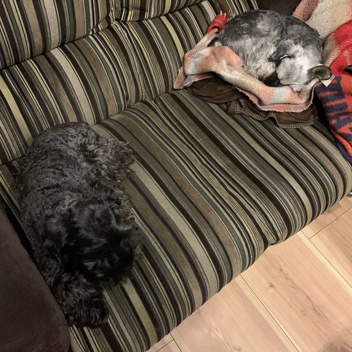 92b1372a 7e67 4408 89dd cde8aa1f0817 1641982802085