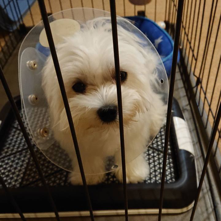 92b19023 dcef 4834 bee9 415f7c9cc9be 1566916294992