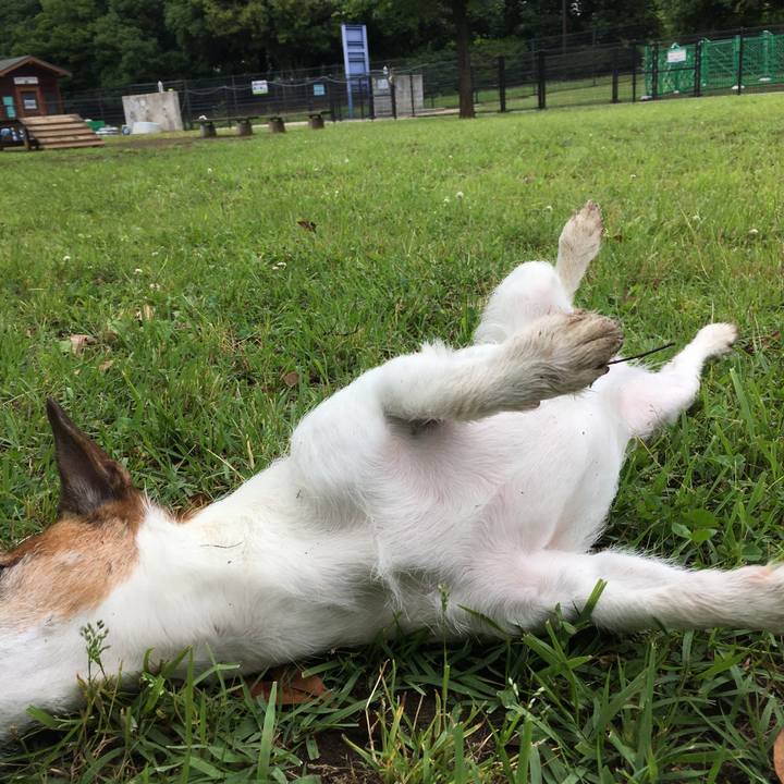 92b1d2ef ff57 4558 a174 6ff12e5548f3 1623194677851