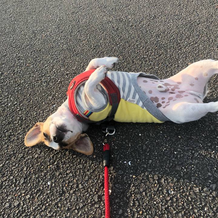 92b1d6d5 5017 4850 9d91 0f90328c38cb 1572132967486