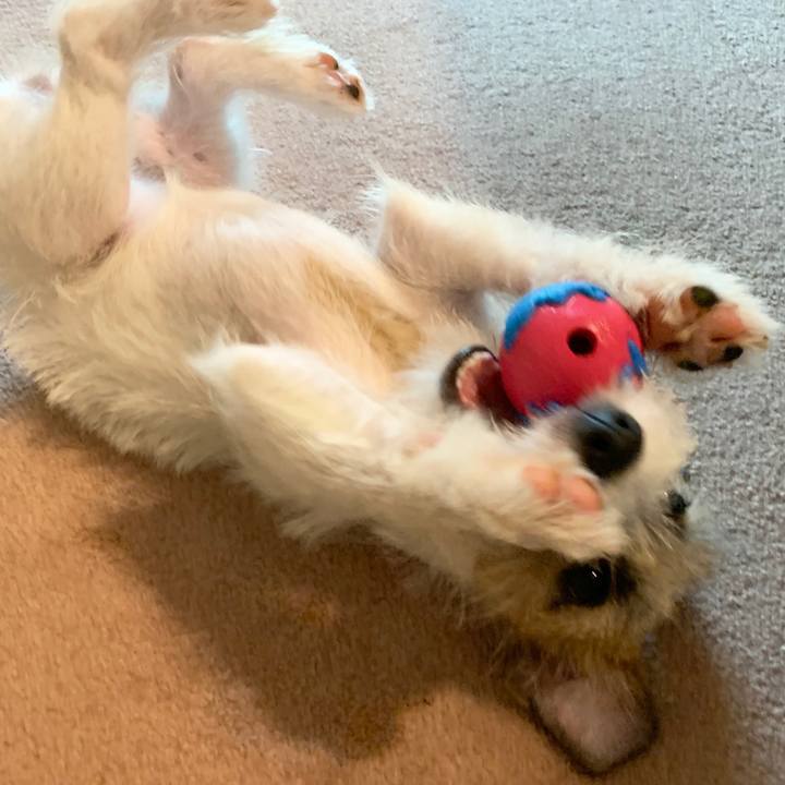 92b21849 943b 47b6 be42 b6879f02b127 1566544760398