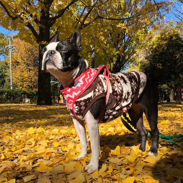 92b224ad e8da 4005 9aea b69e9724366f 1575522348397