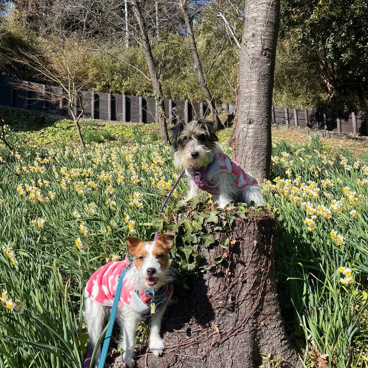 92b22573 2a96 4b5c bf7d 2f920944a98a 1769174538243