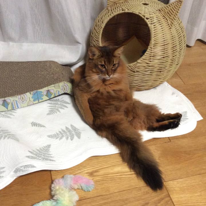 92b231b3 8412 4734 9e6e 645931fa6e95 1604242771529