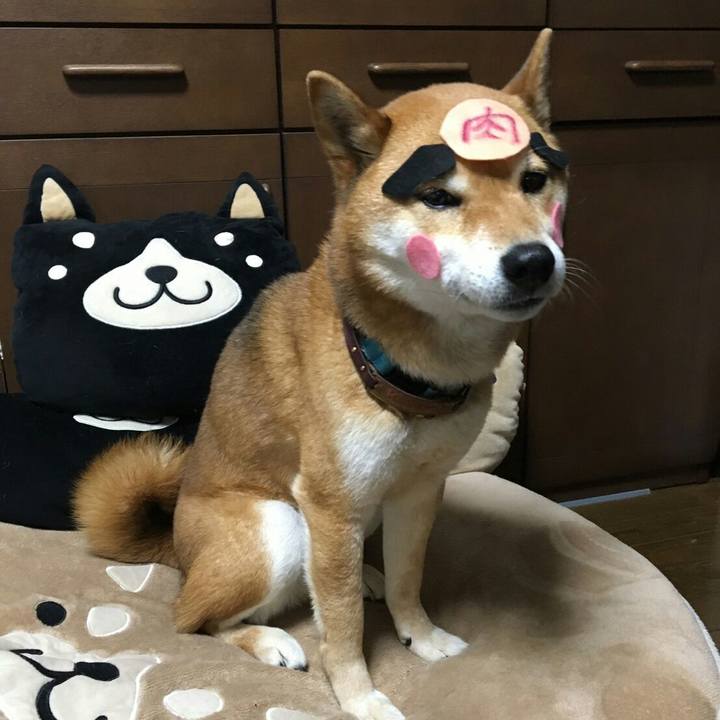 92b27b30 f647 4741 8059 74ff25b7b73e 1553827584501