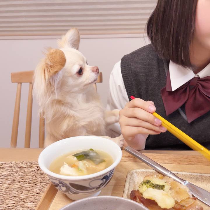 92b2a6b9 7368 4a54 9353 95a8395c2ed5 1744191532555