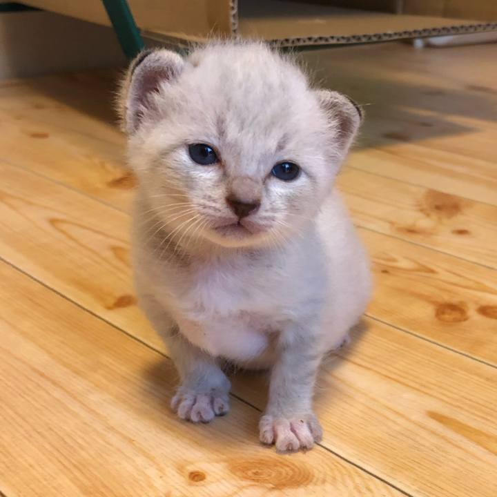 92b2ad45 301a 45a5 b282 e7ebbcb4b940 1596716024361