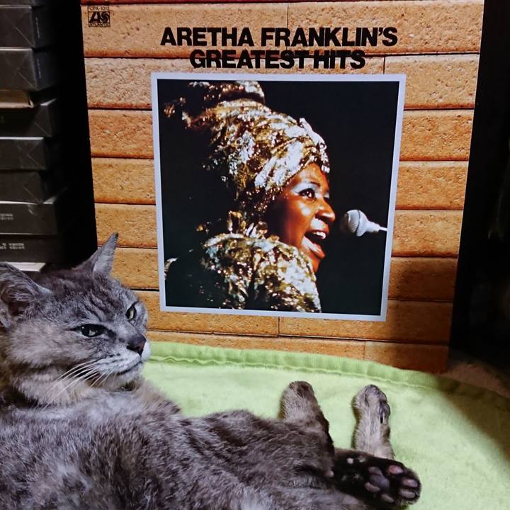 92b2b1fc 3d6a 4218 9b74 a1b85c6a6155 1598875320040