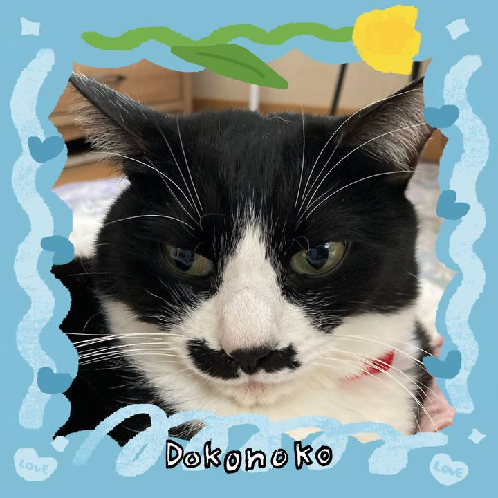 92b2c04d f7cf 4597 9fa8 33816dd5c244 1771991435548