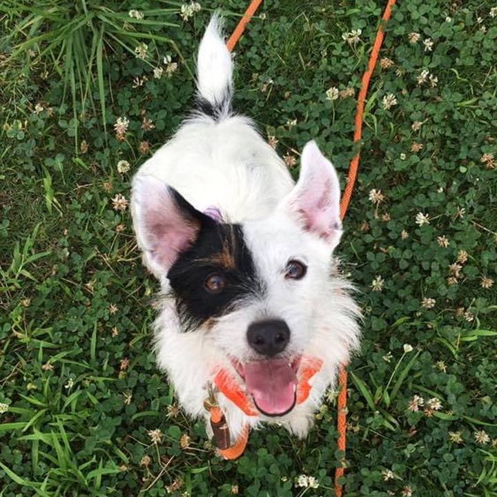 92b2c916 b224 4e8c 92b7 2be54d7f7732 1658309349453