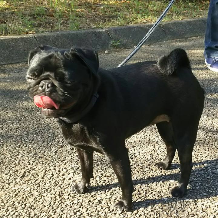 92b2c94a 9bda 48a5 89ae 43a0073993e5 1534634993881