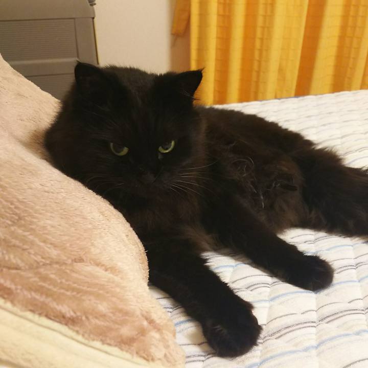 92b2d9f3 e914 491a a1d2 43c27600752f 1528035791258