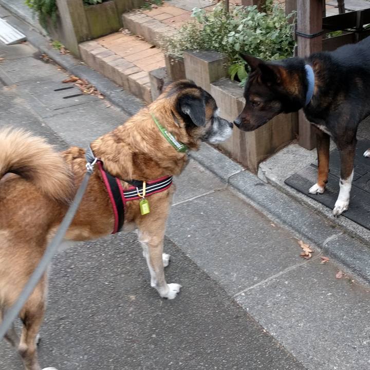 92b2f421 6f34 40f9 af6f dcd3882d9c44 1545782630170