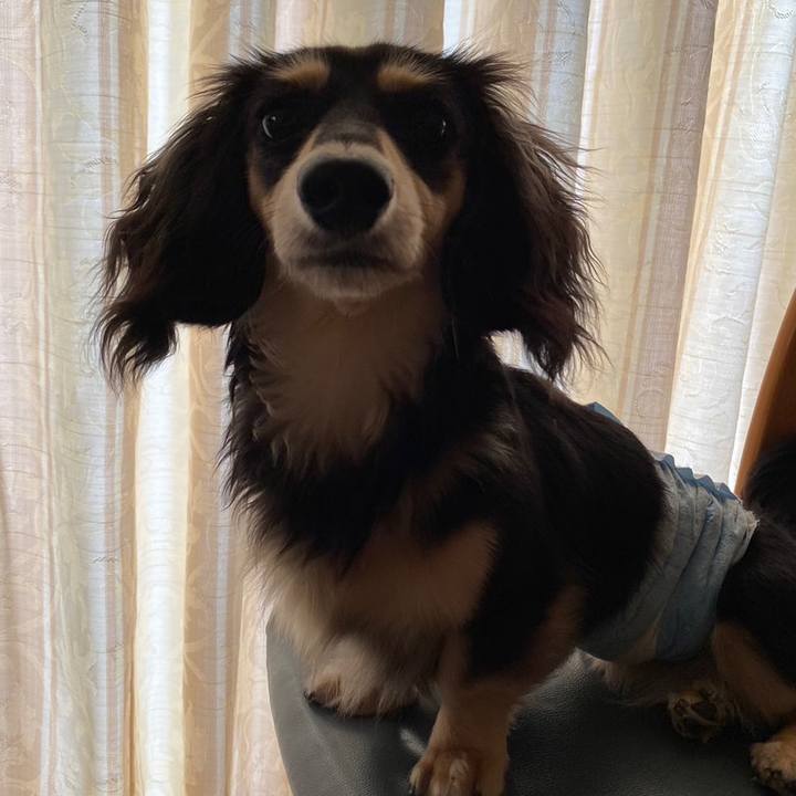 92b3660c d227 409e 8bba 7f1486a2170f 1687589776377