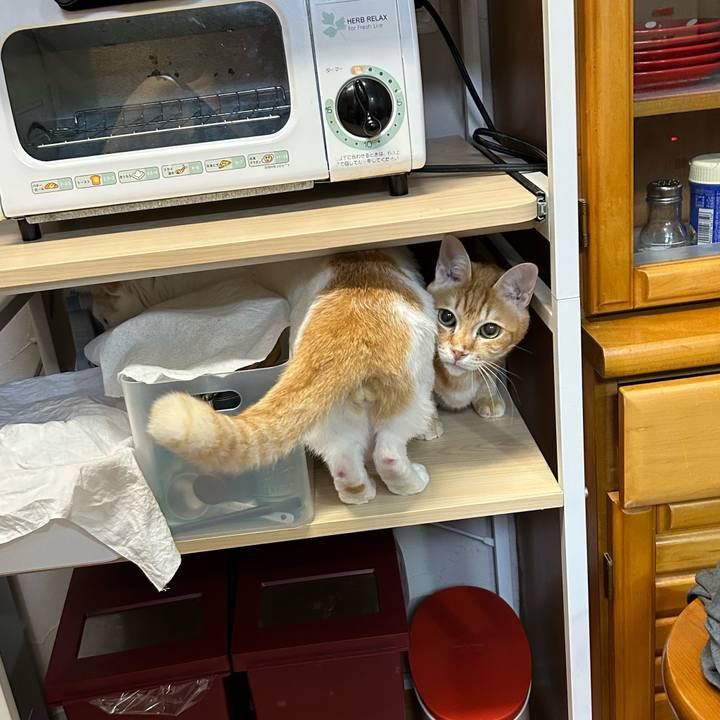 92b37a6a 41a1 4d3b ba20 e33dc863c4dd 1678618005831