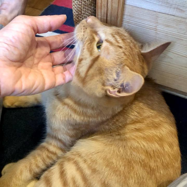 92b37deb a2a1 4854 bac5 37fcb77c1f15 1729546285751