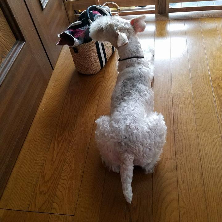 92b38732 06c5 444a 82ac 27f7226ed45b 1535161171301