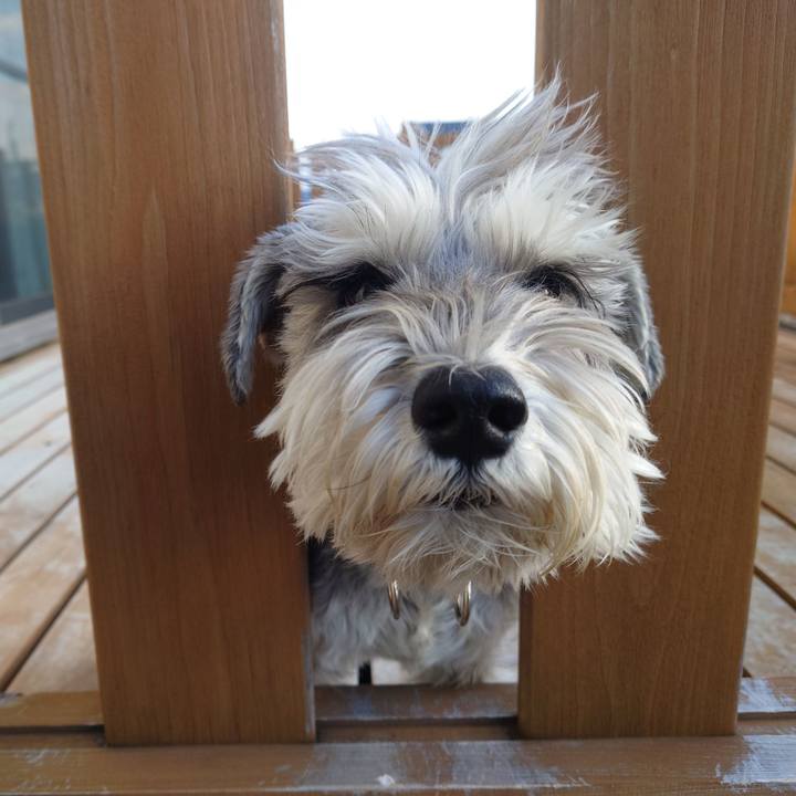 92b3da8a 5df1 41bd ad7f 212f77533f9f 1770853005336